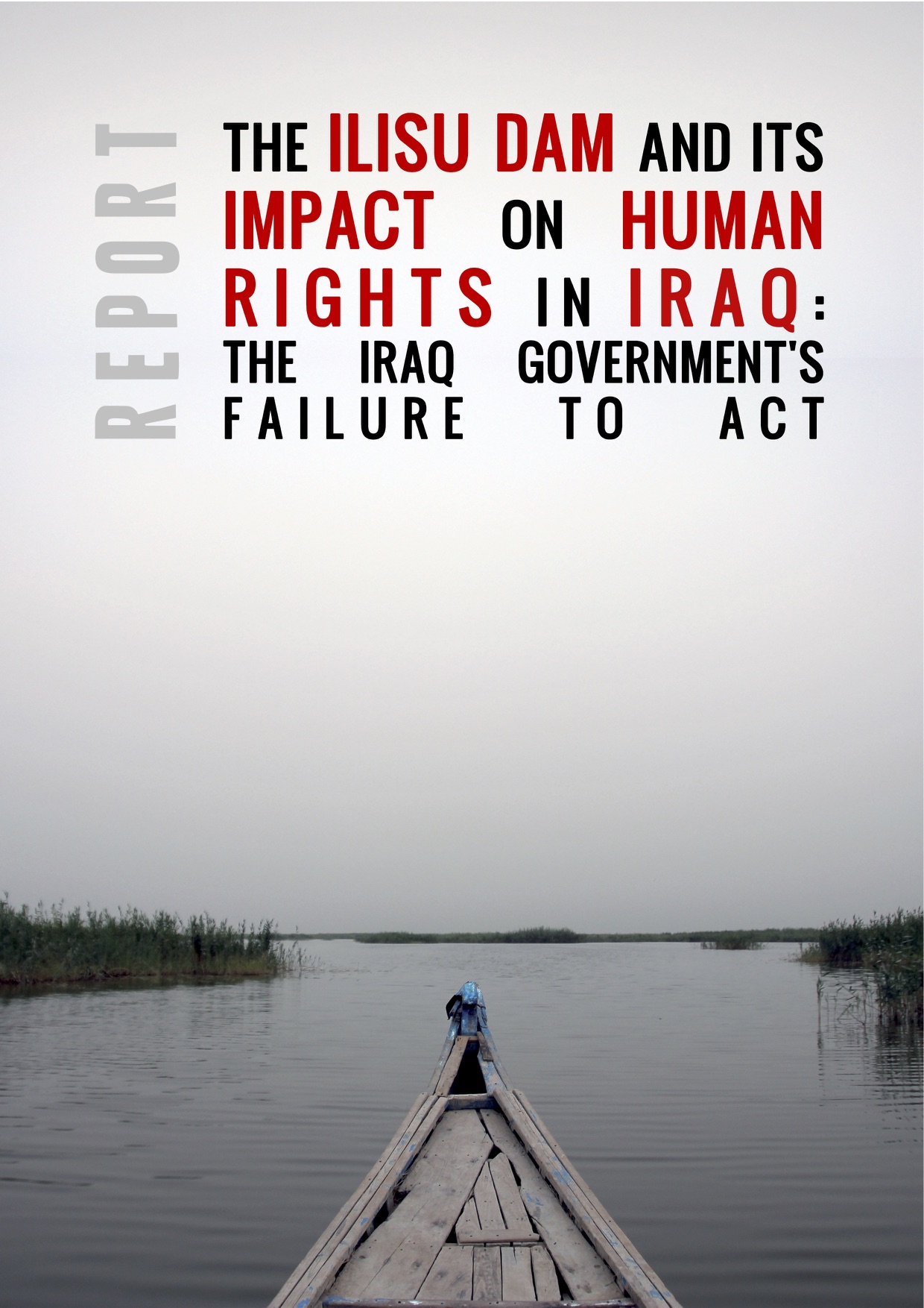 CESCR'Iraq_Submission by Save Tigris Campaign