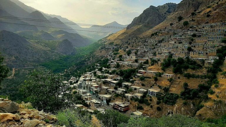 ازدهار وردة التغيير في كوردستان